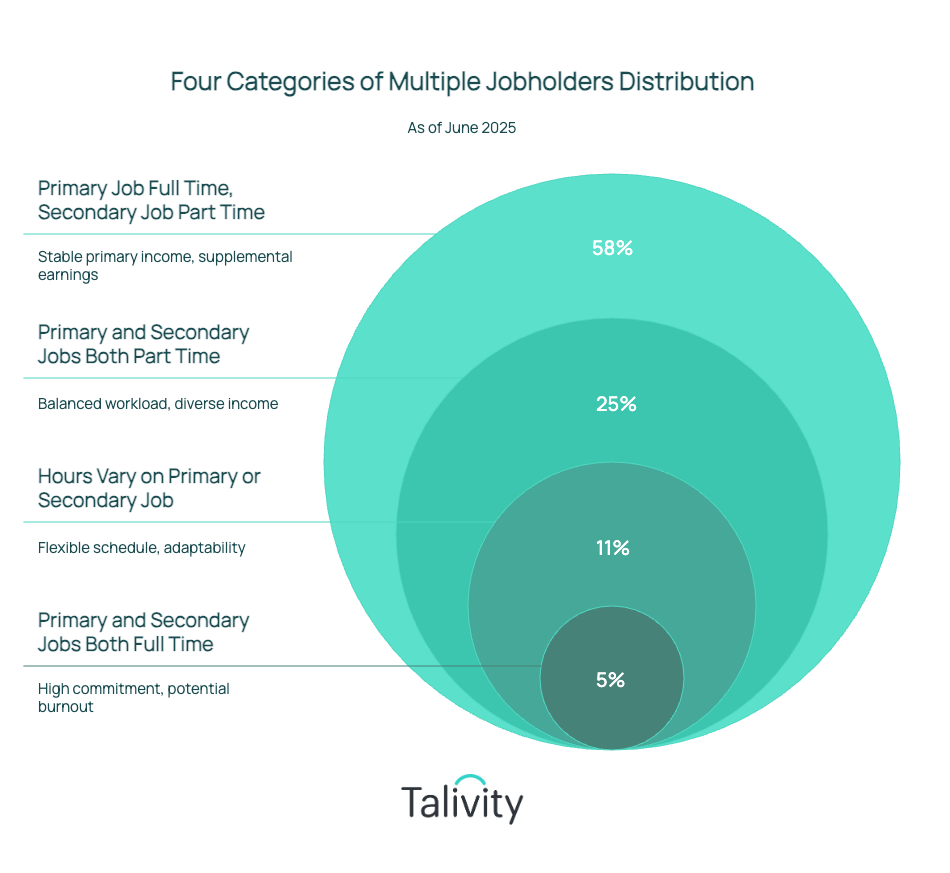 Four Categories of Multiple Jobholders - visual selection